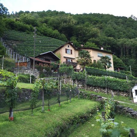 Casa Immersa Nel Vigneto 로버레도 외부 사진