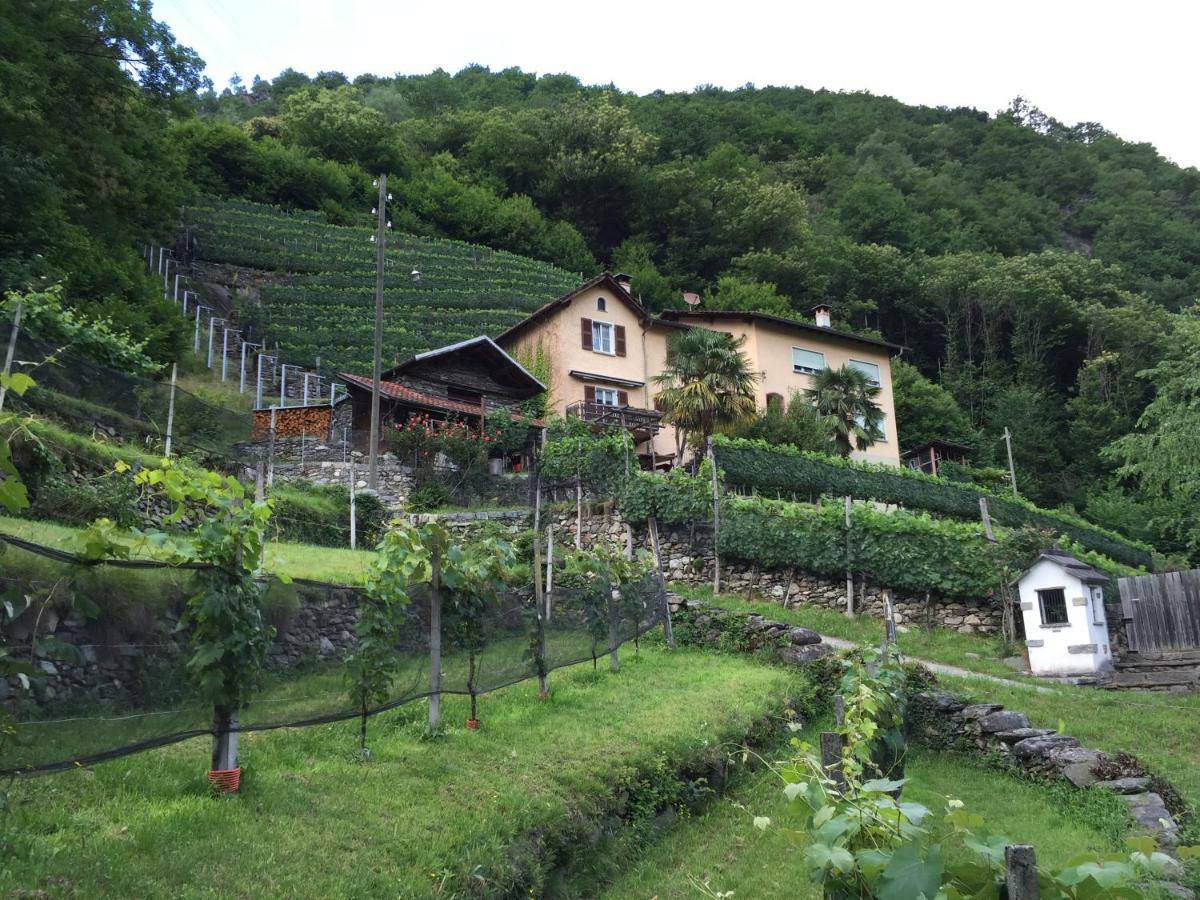 Casa Immersa Nel Vigneto 로버레도 외부 사진