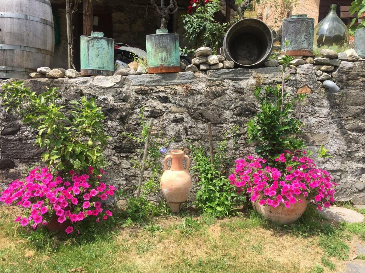 Casa Immersa Nel Vigneto 로버레도 외부 사진