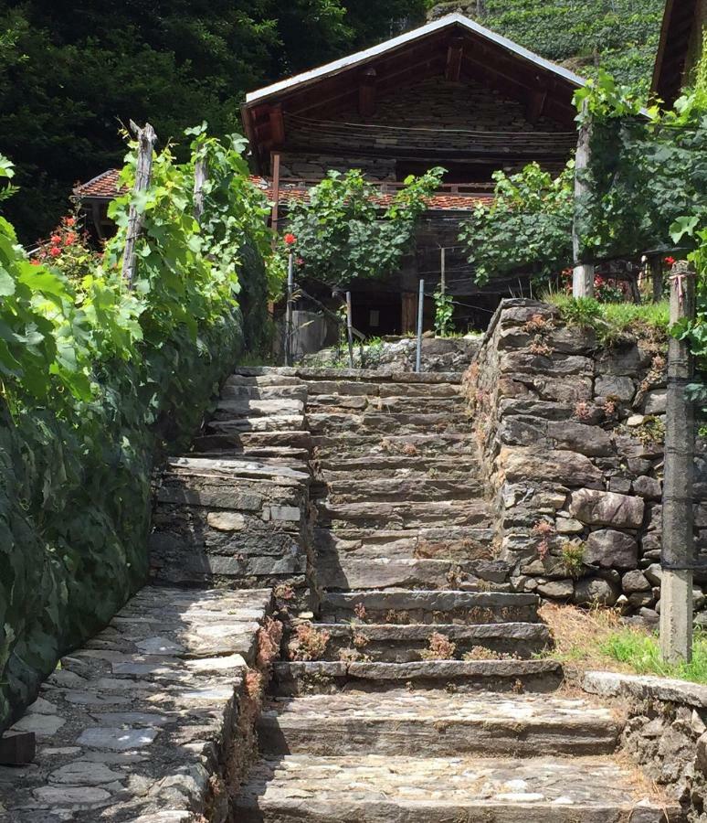 Casa Immersa Nel Vigneto 로버레도 외부 사진
